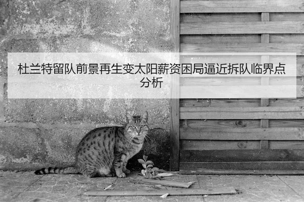 杜兰特留队前景再生变太阳薪资困局逼近拆队临界点分析