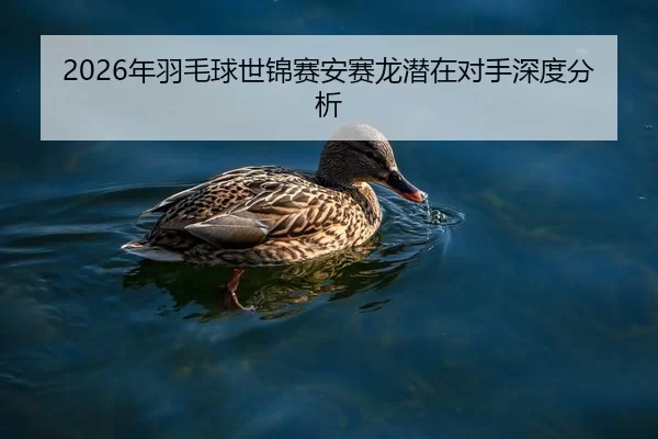 2026年羽毛球世锦赛安赛龙潜在对手深度分析