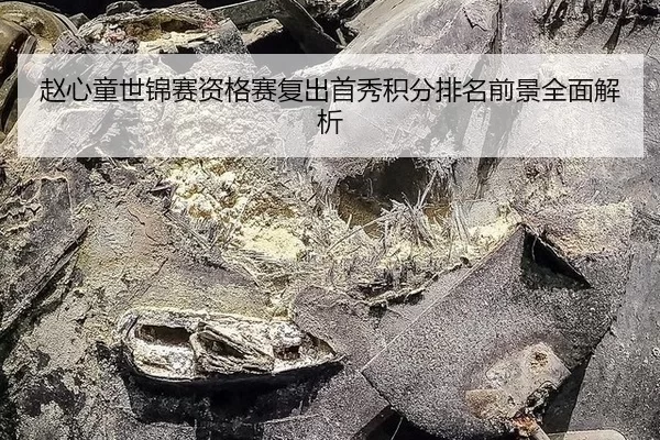 zhao-xin-tong-shi-jin-sai-zi-ge-sai-fu-chu-shou-xiu-ji-fen-pai-ming-qian-jing-quan-mian-jie-xi-2-407.jpg